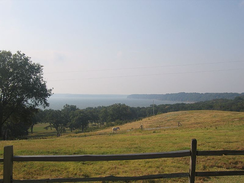 Roan Horse Arenas